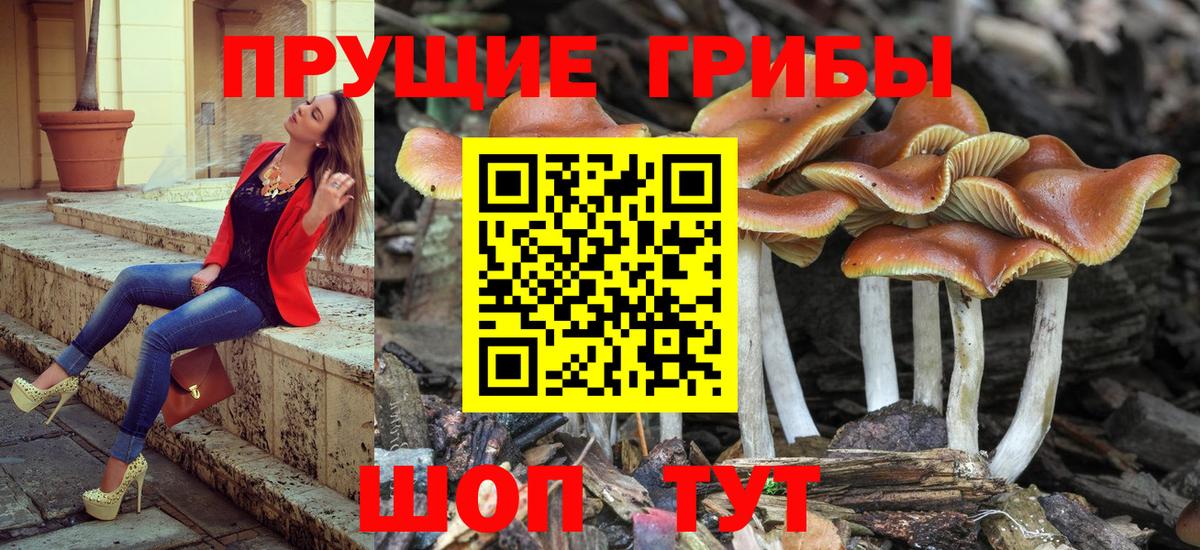 Галлюциногенные грибы MAGIC MUSHROOMS  Вход с VPN  Тында 
